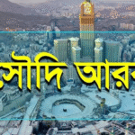 এক নজরে সৌদি আরব